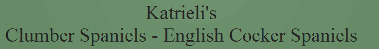 Katrieli's
Clumber Spaniels - English Cocker Spaniels